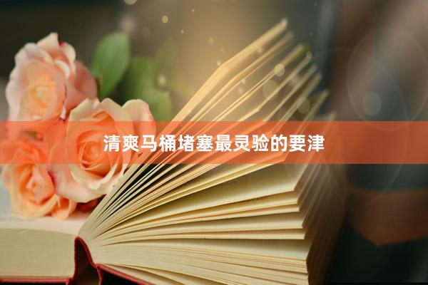 清爽马桶堵塞最灵验的要津