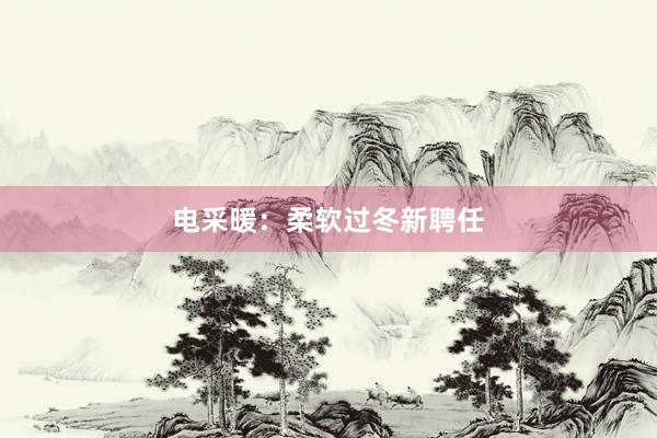 电采暖：柔软过冬新聘任