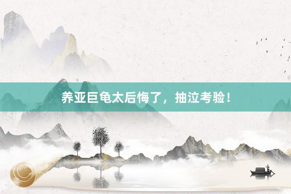 养亚巨龟太后悔了，抽泣考验！
